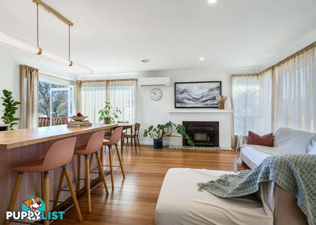 11 Medea Street ST HELENS TAS 7216