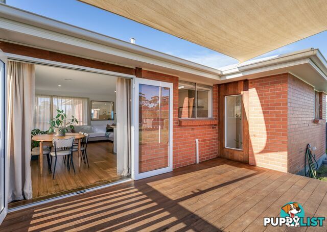 11 Medea Street ST HELENS TAS 7216