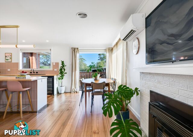 11 Medea Street ST HELENS TAS 7216