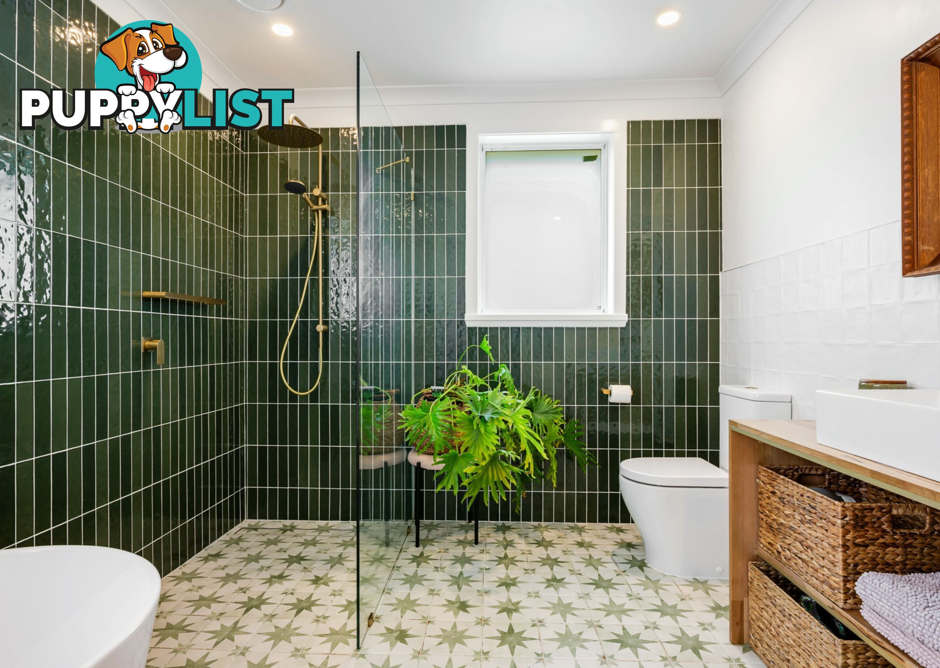 11 Medea Street ST HELENS TAS 7216