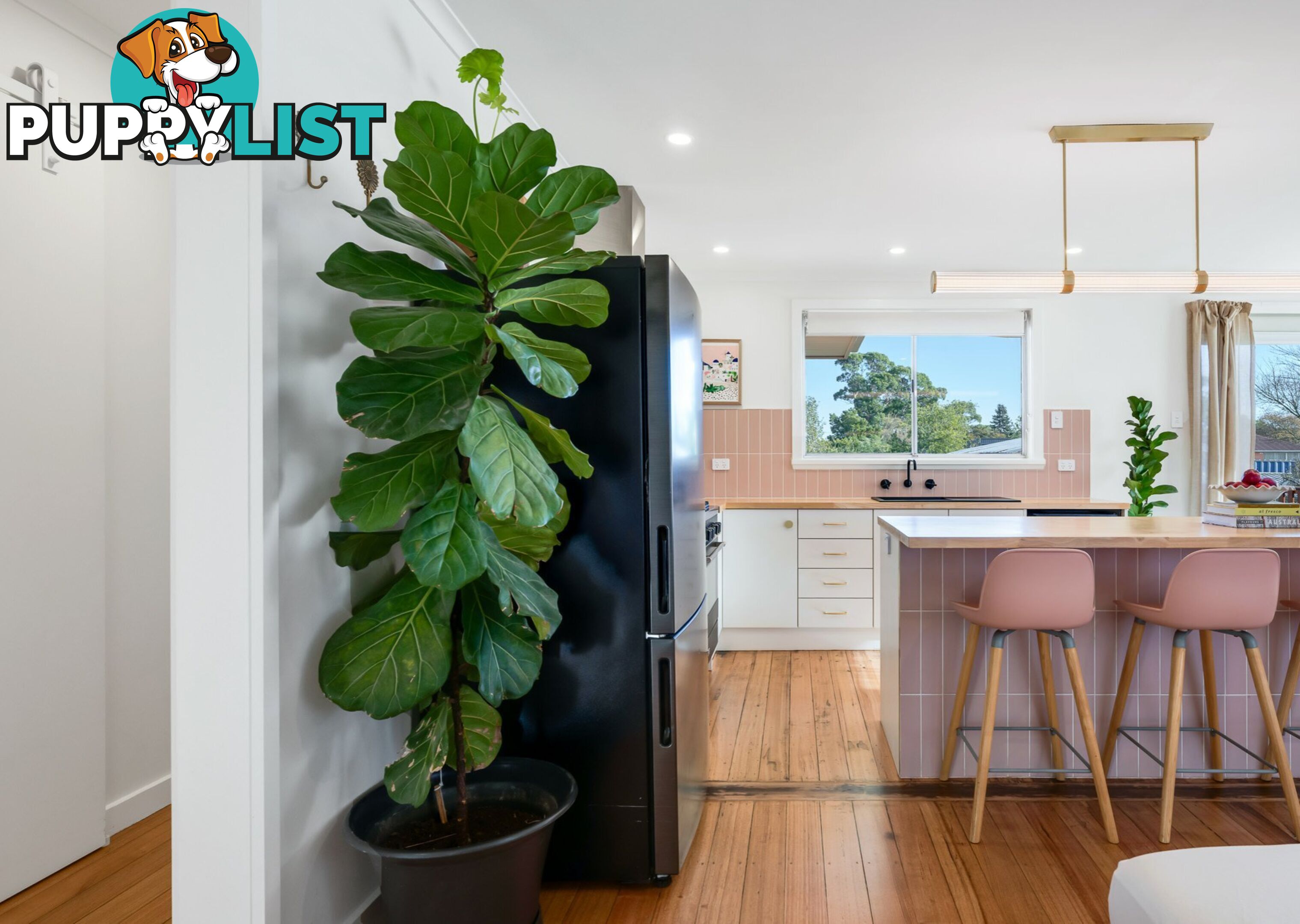 11 Medea Street ST HELENS TAS 7216