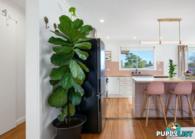 11 Medea Street ST HELENS TAS 7216