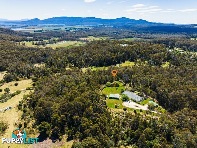 75 Dalmayne Road GRAY TAS 7215