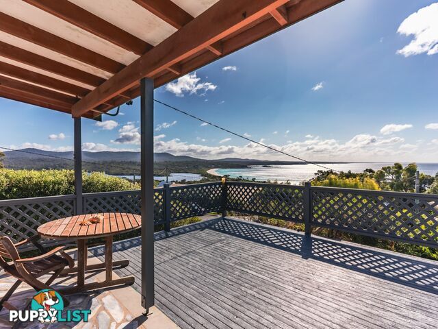 13 Coffey Drive BINALONG BAY TAS 7216