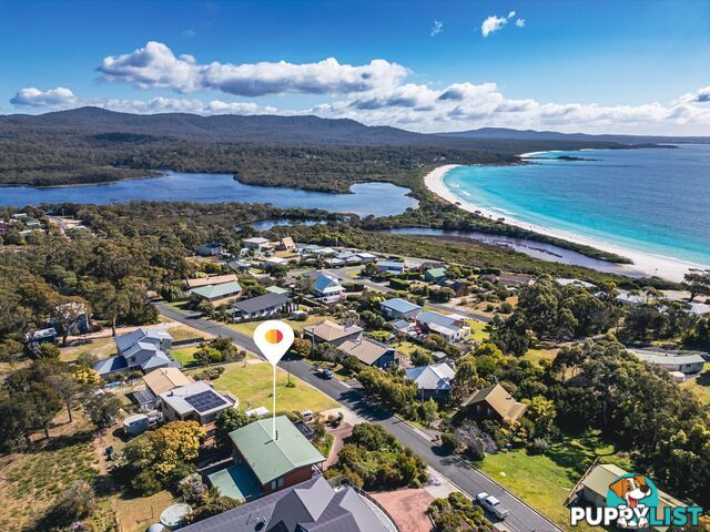 13 Coffey Drive BINALONG BAY TAS 7216