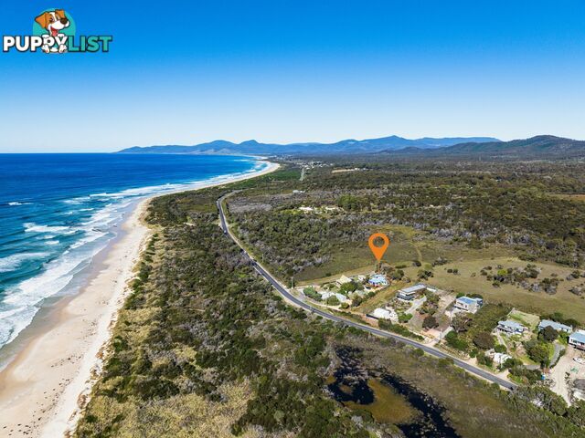 24287 Tasman Highway ST HELENS TAS 7216