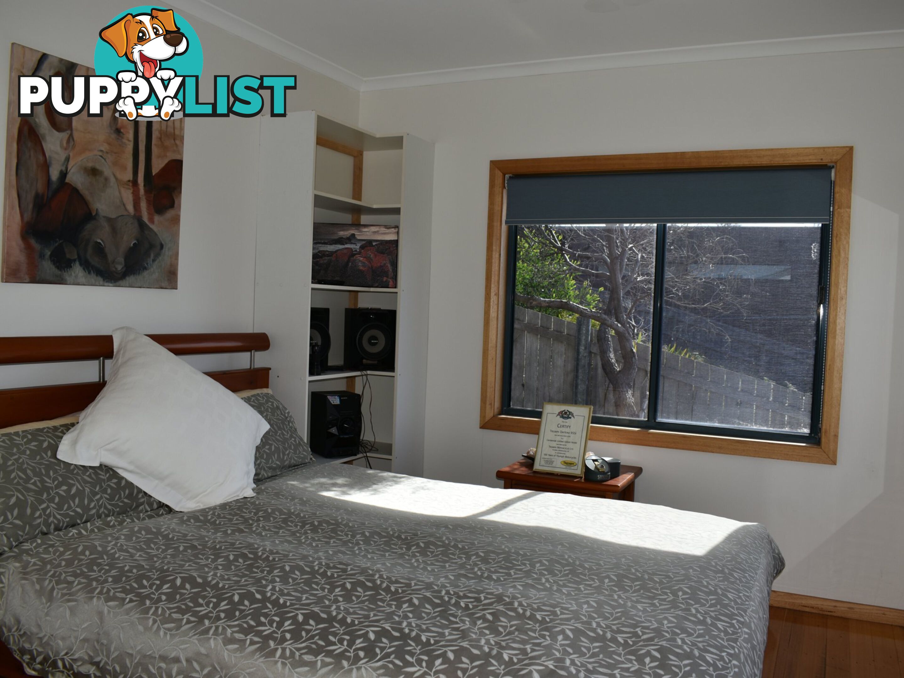24287 Tasman Highway ST HELENS TAS 7216