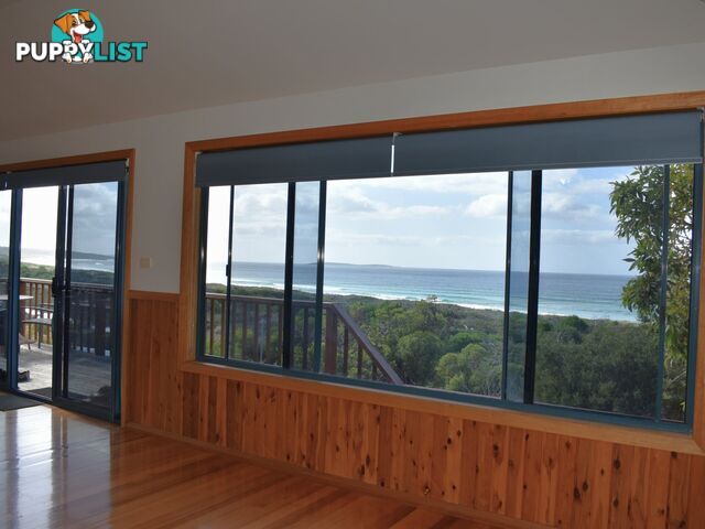 24287 Tasman Highway ST HELENS TAS 7216
