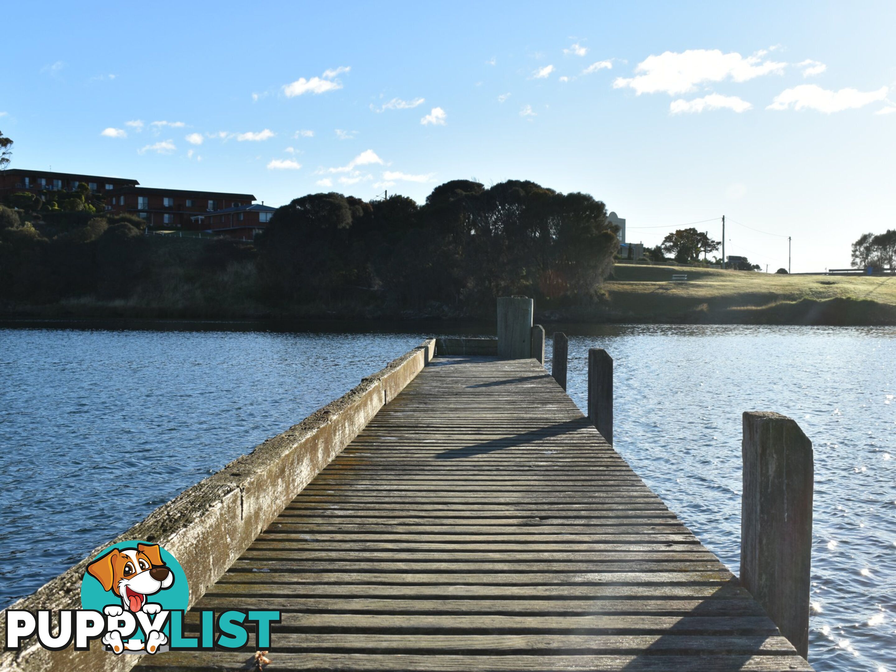 22a Steel Street SCAMANDER TAS 7215