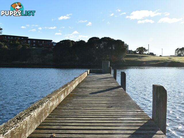 22a Steel Street SCAMANDER TAS 7215