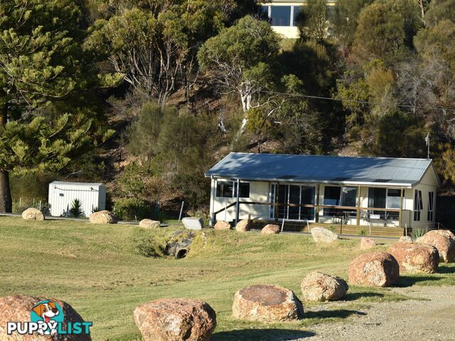 22a Steel Street SCAMANDER TAS 7215