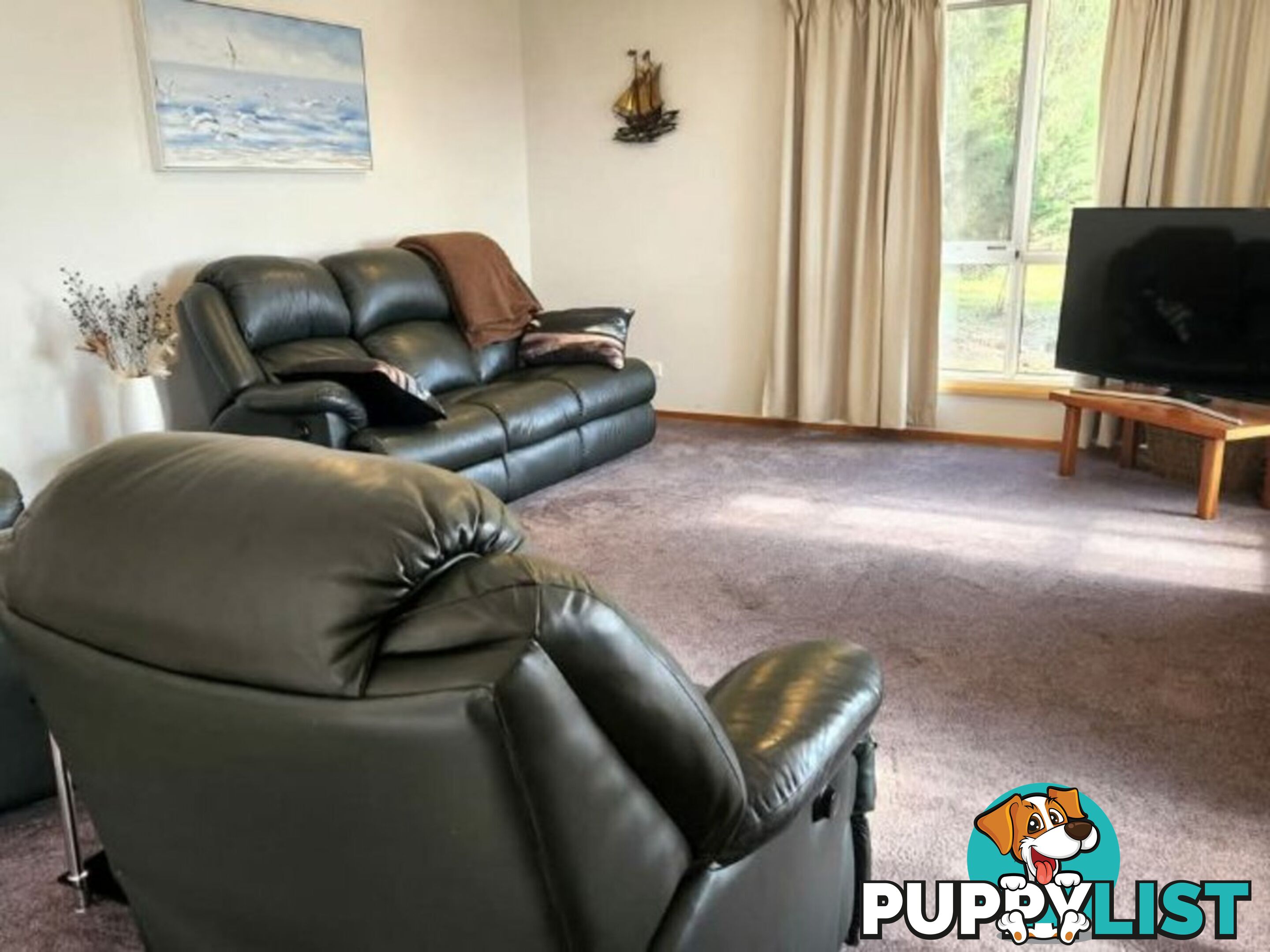 22a Steel Street SCAMANDER TAS 7215