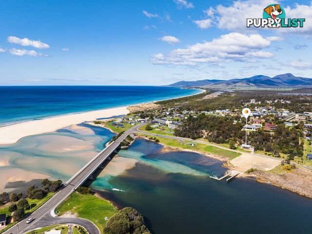22a Steel Street SCAMANDER TAS 7215