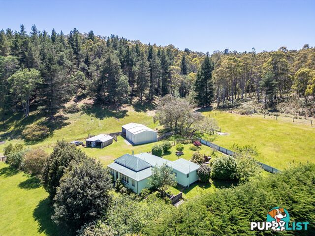 23 Newman Street ST MARYS TAS 7215