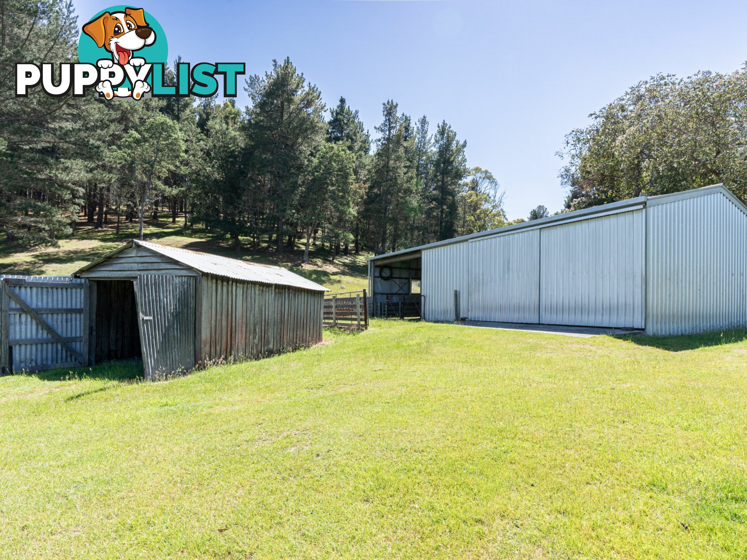 23 Newman Street ST MARYS TAS 7215