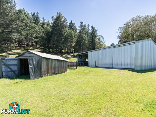 23 Newman Street ST MARYS TAS 7215