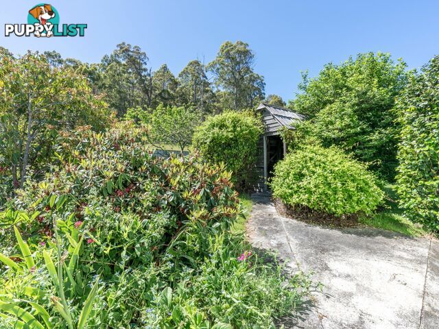 23 Newman Street ST MARYS TAS 7215