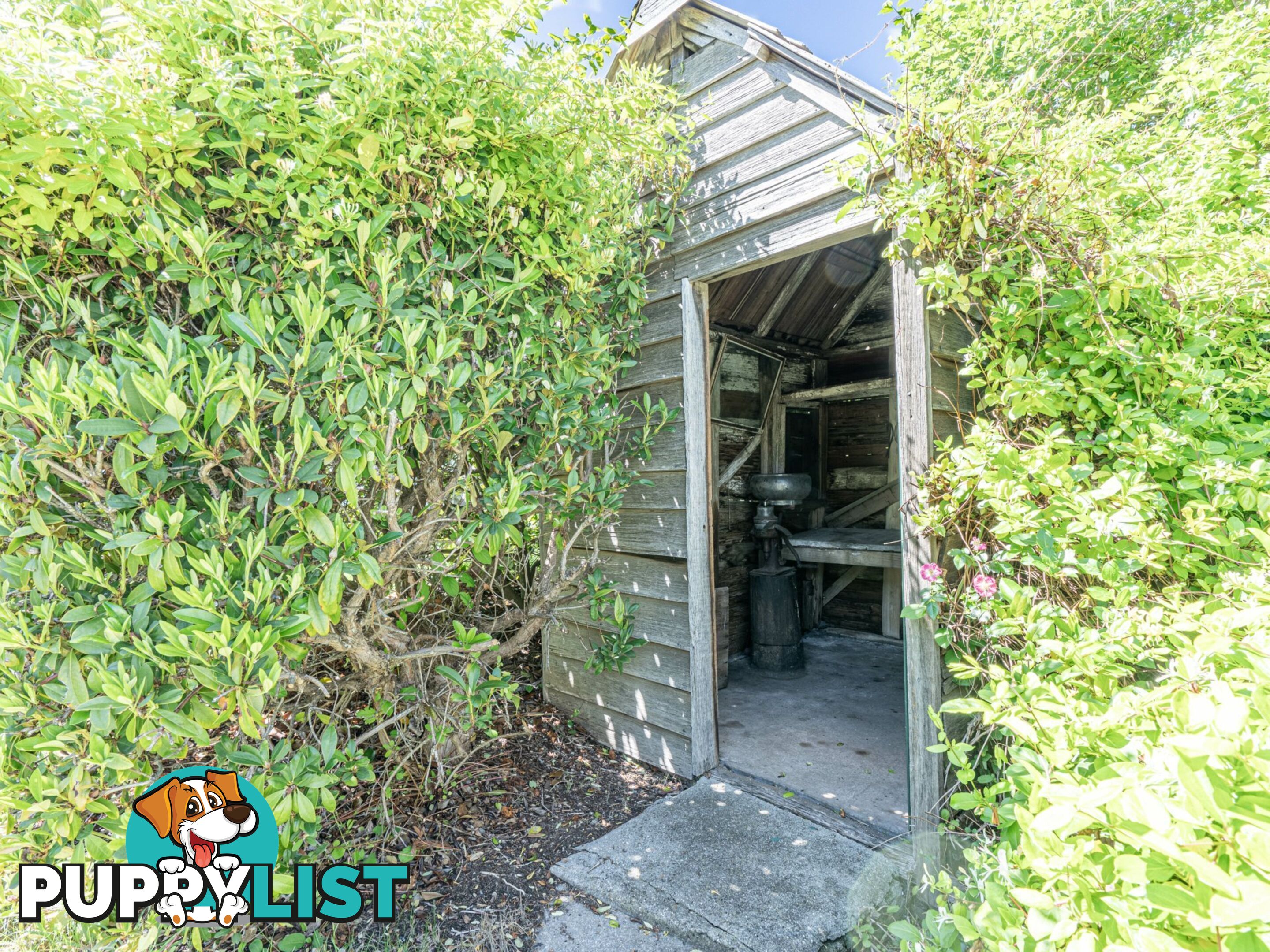 23 Newman Street ST MARYS TAS 7215