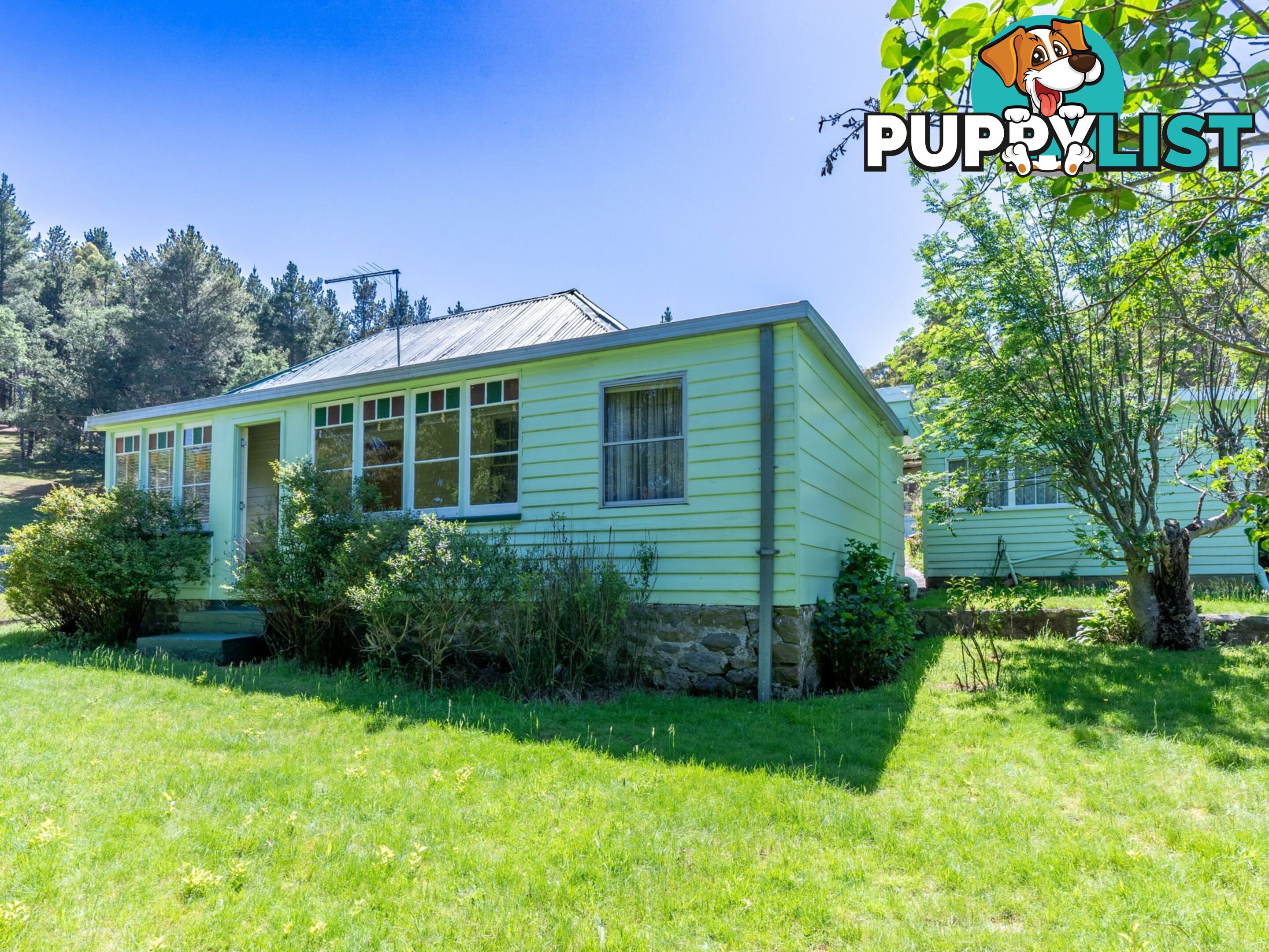 23 Newman Street ST MARYS TAS 7215