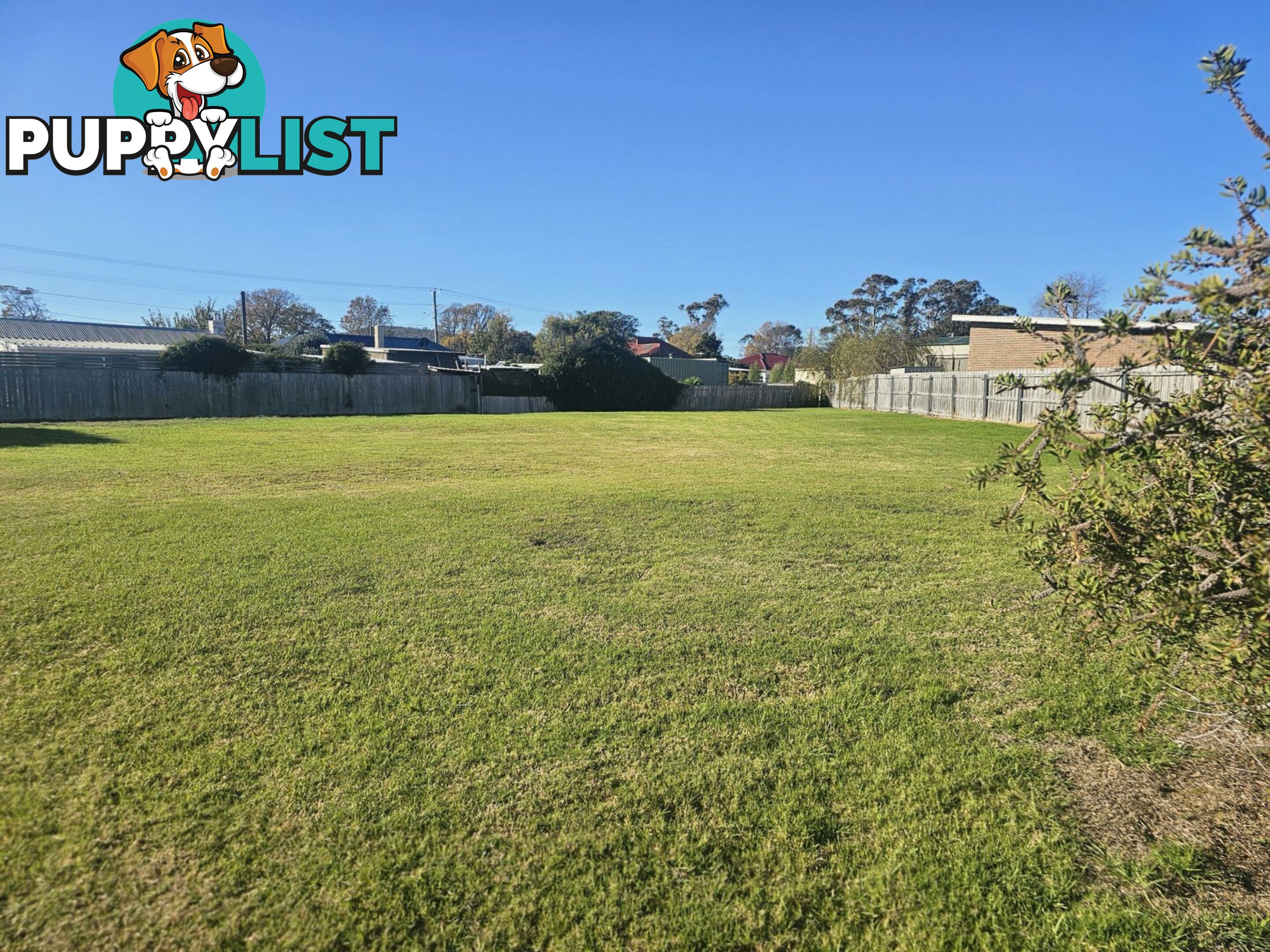 9 Alma Court ST HELENS TAS 7216