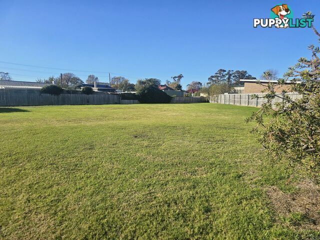 9 Alma Court ST HELENS TAS 7216