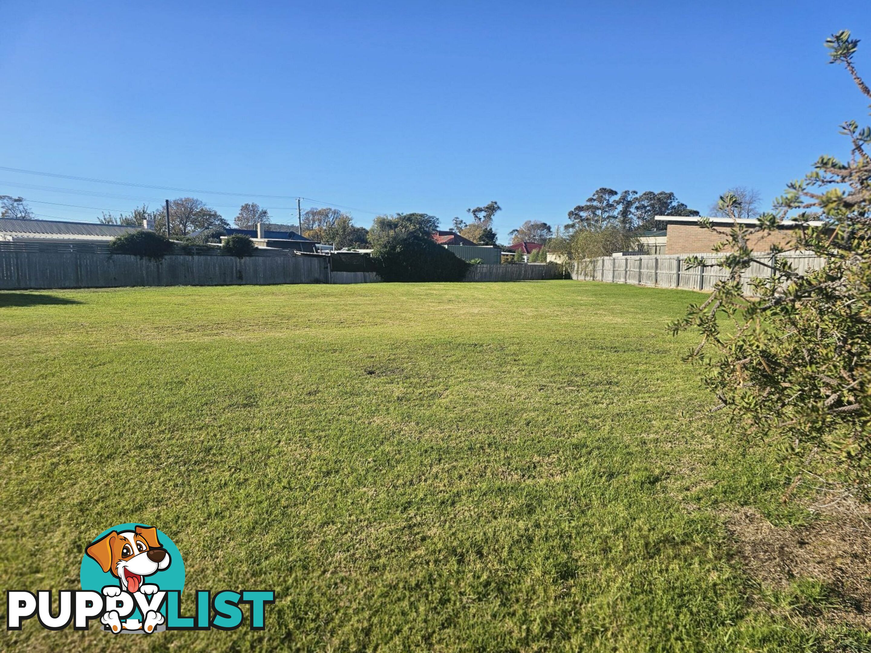 9 Alma Court ST HELENS TAS 7216