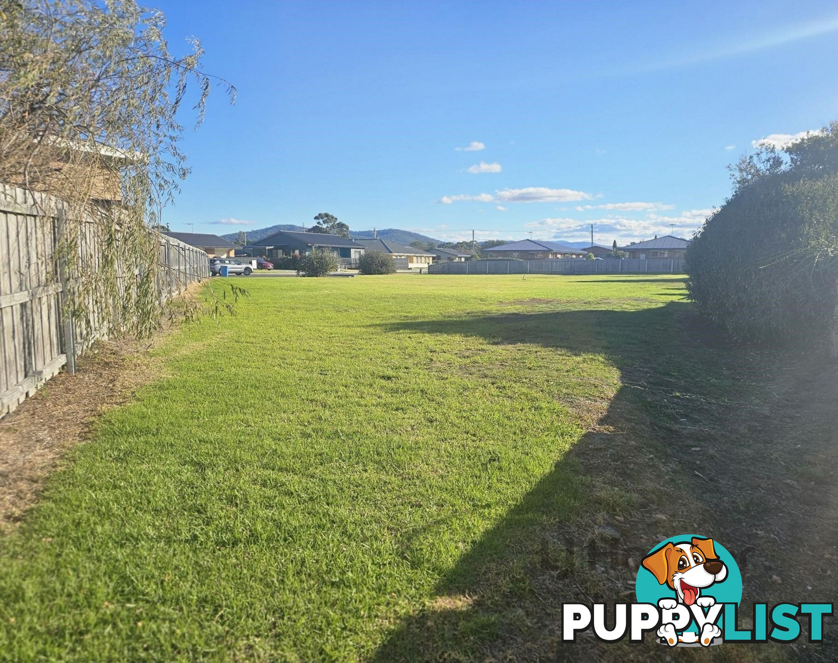 9 Alma Court ST HELENS TAS 7216