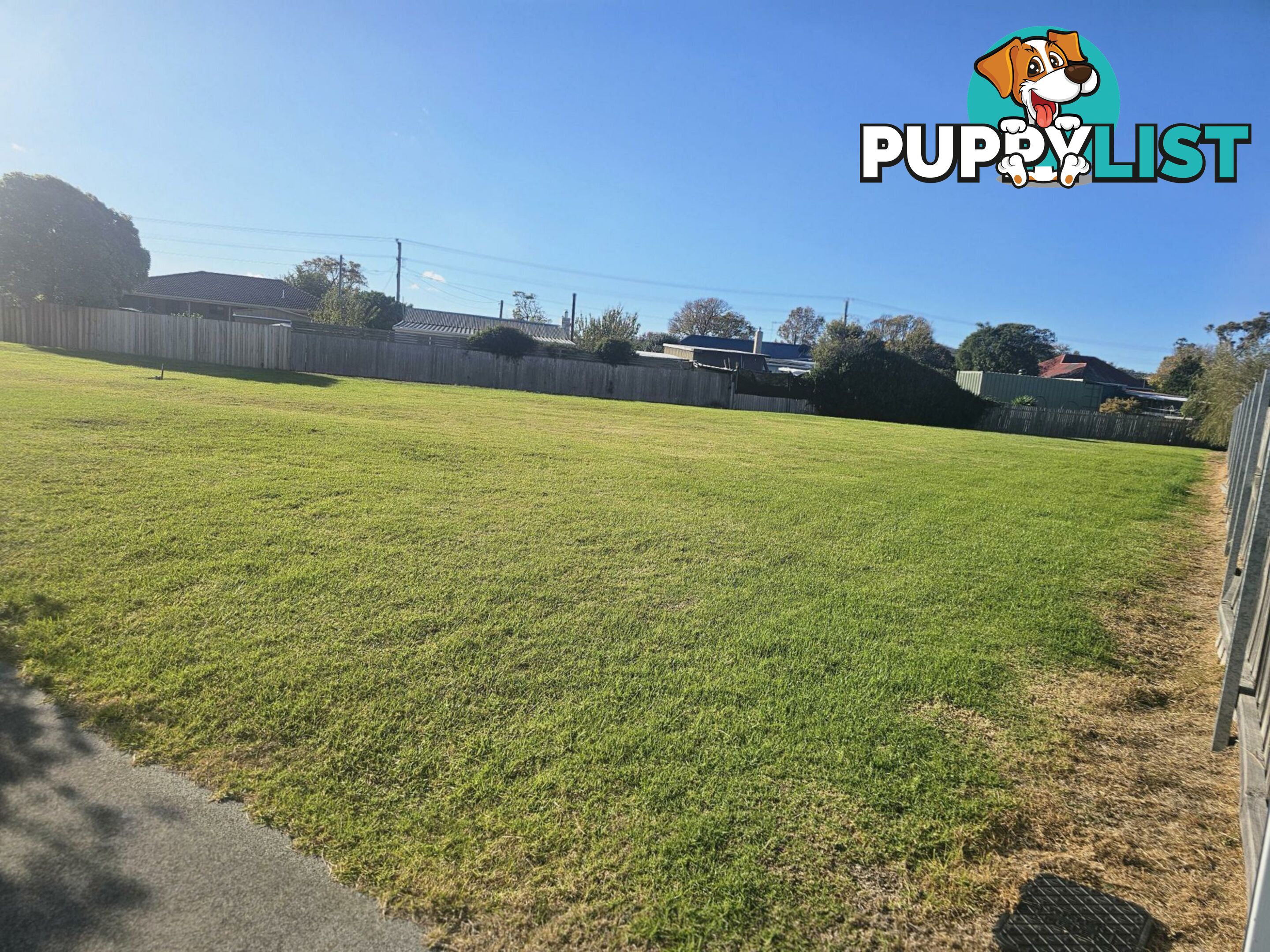 9 Alma Court ST HELENS TAS 7216
