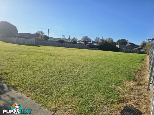 9 Alma Court ST HELENS TAS 7216