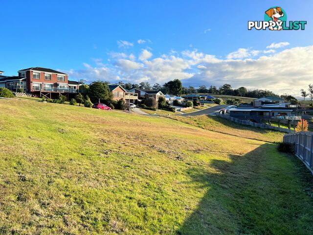 24 Cobrooga Drive ST HELENS TAS 7216