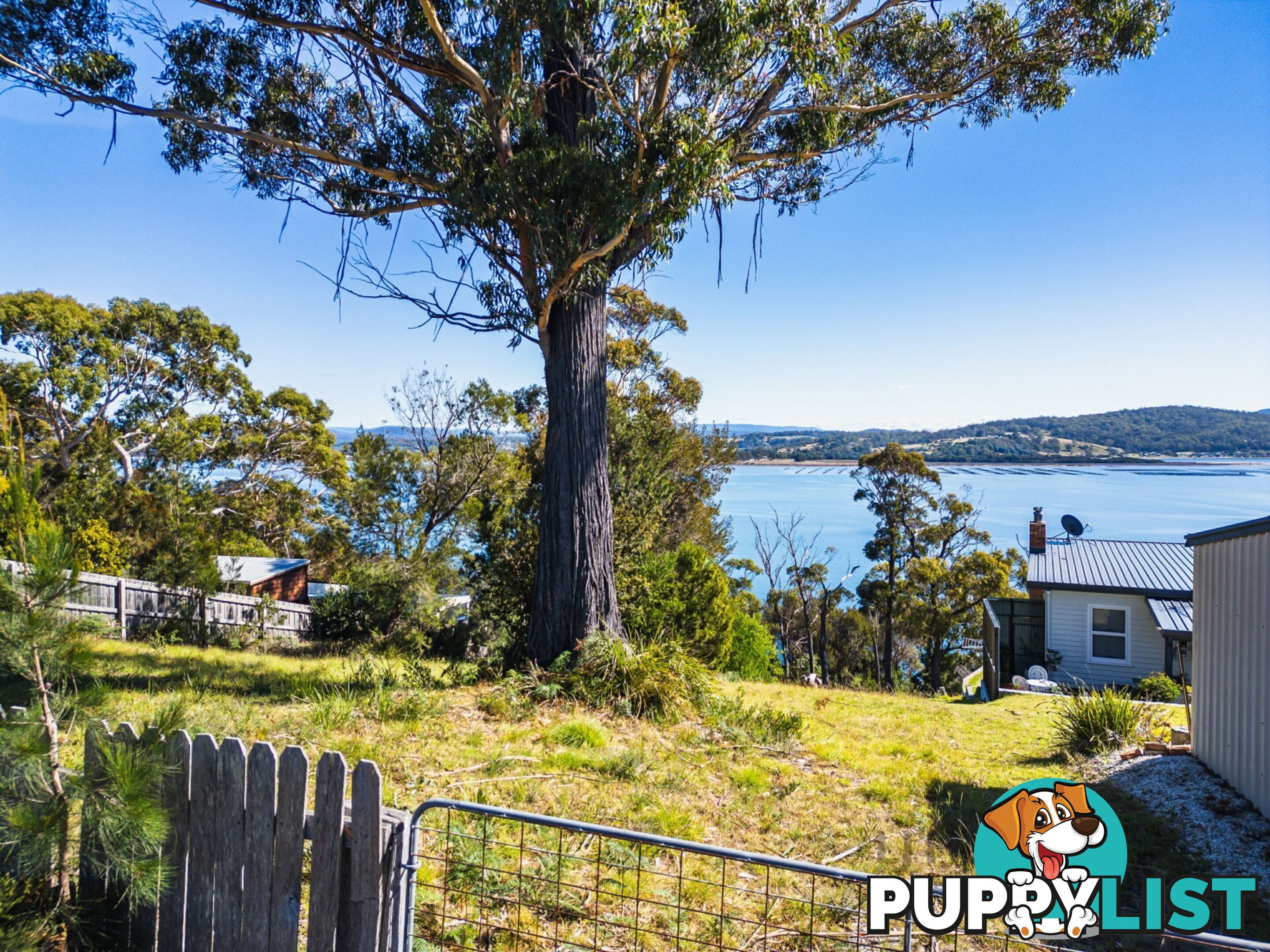 111 St Helens Point Road STIEGLITZ TAS 7216