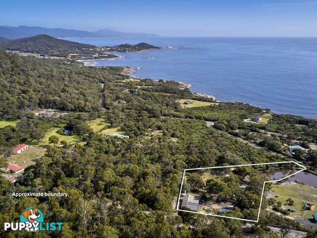 363 HARVEYS FARM ROAD BICHENO TAS 7215