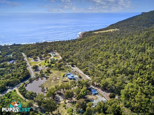 363 HARVEYS FARM ROAD BICHENO TAS 7215