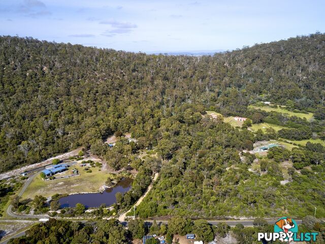 363 HARVEYS FARM ROAD BICHENO TAS 7215