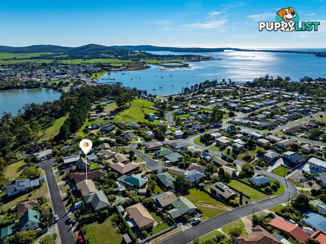 28 Erythos Grove ST HELENS TAS 7216