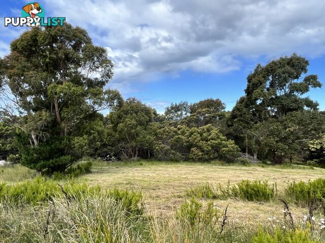 Oceanvista Drive ST HELENS TAS 7216