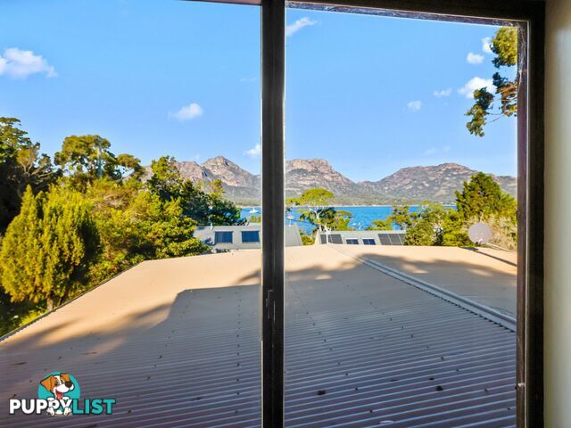 5 Esplanade East COLES BAY TAS 7215