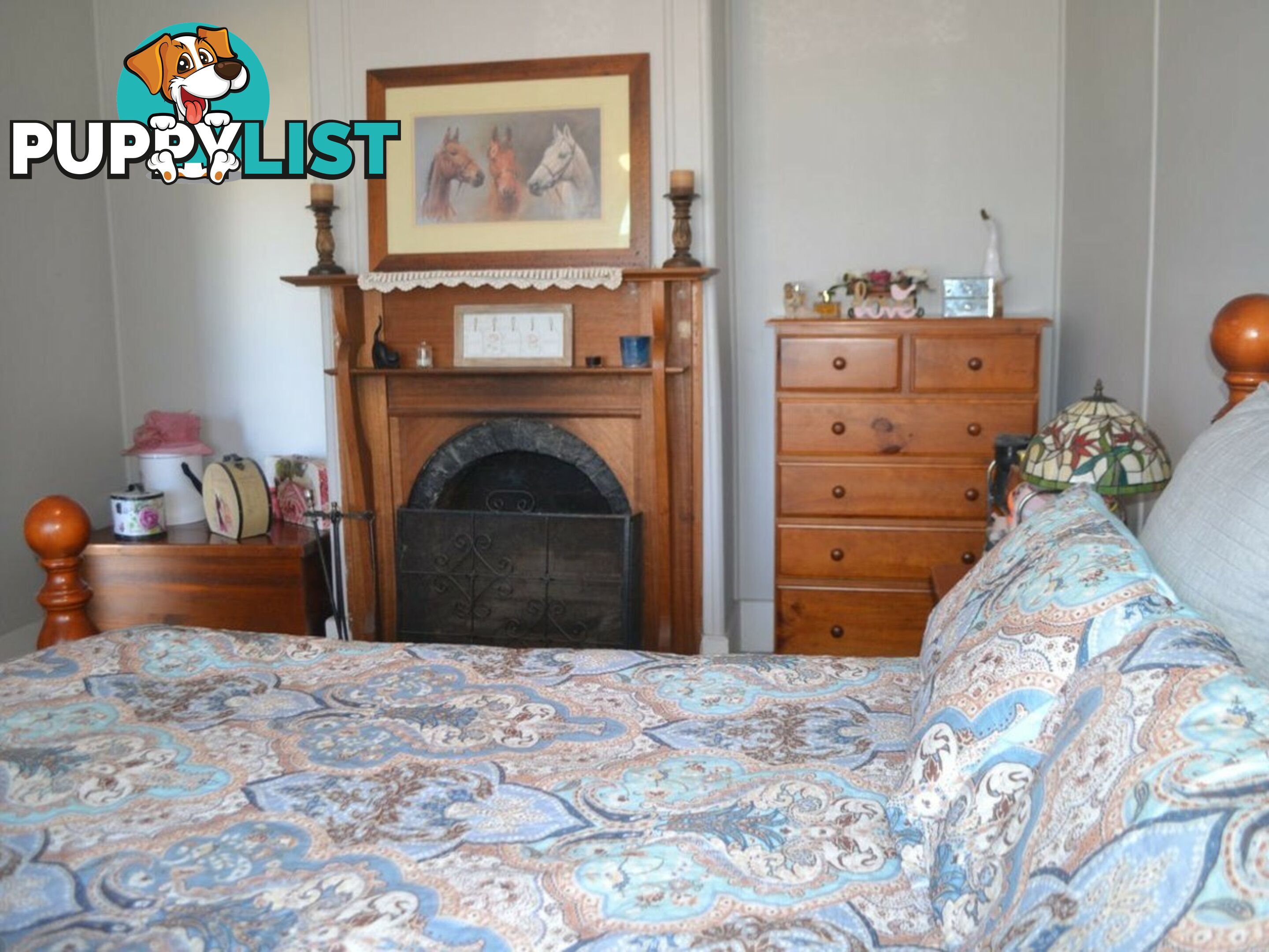 15 Gray Road ST MARYS TAS 7215