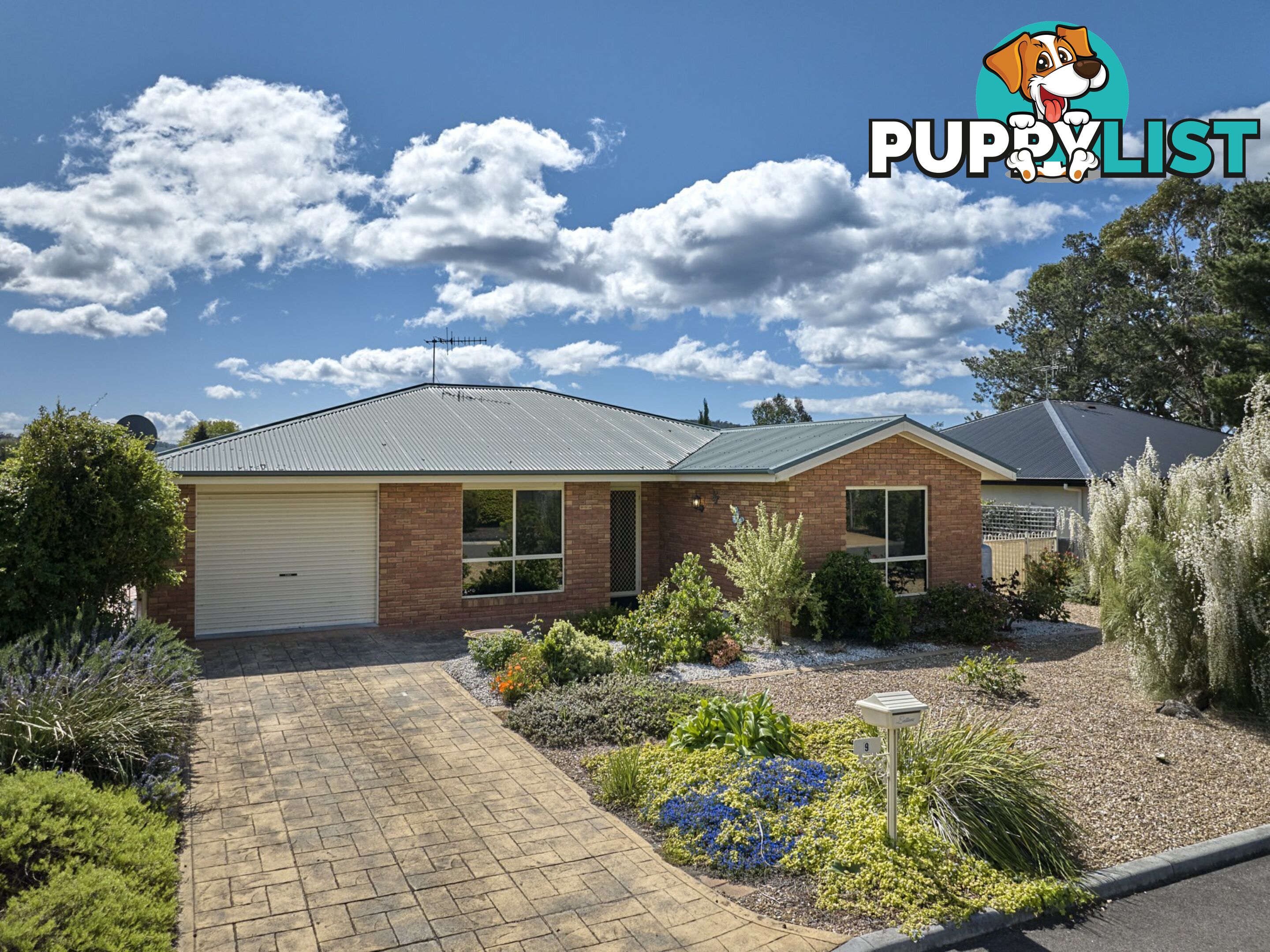 9 Nautilus Place ST HELENS TAS 7216