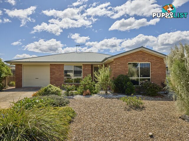 9 Nautilus Place ST HELENS TAS 7216