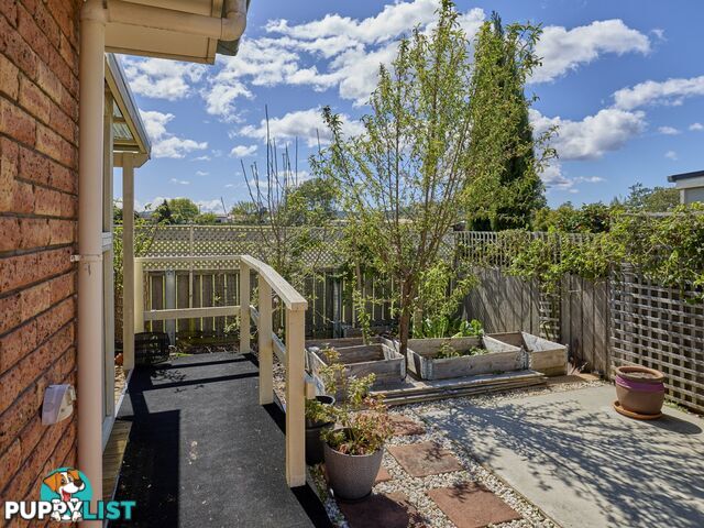 9 Nautilus Place ST HELENS TAS 7216