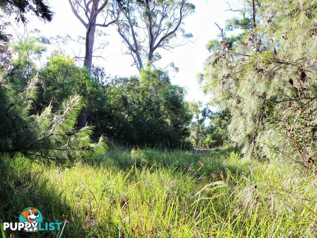 31 Felmingham Street BINALONG BAY TAS 7216