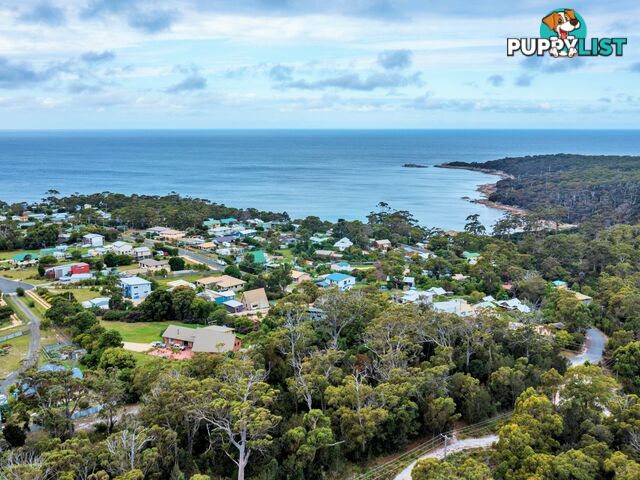 31 Felmingham Street BINALONG BAY TAS 7216