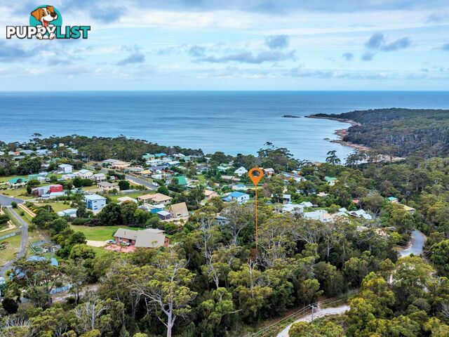 31 Felmingham Street BINALONG BAY TAS 7216