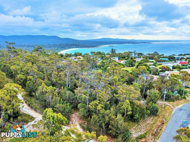 31 Felmingham Street BINALONG BAY TAS 7216