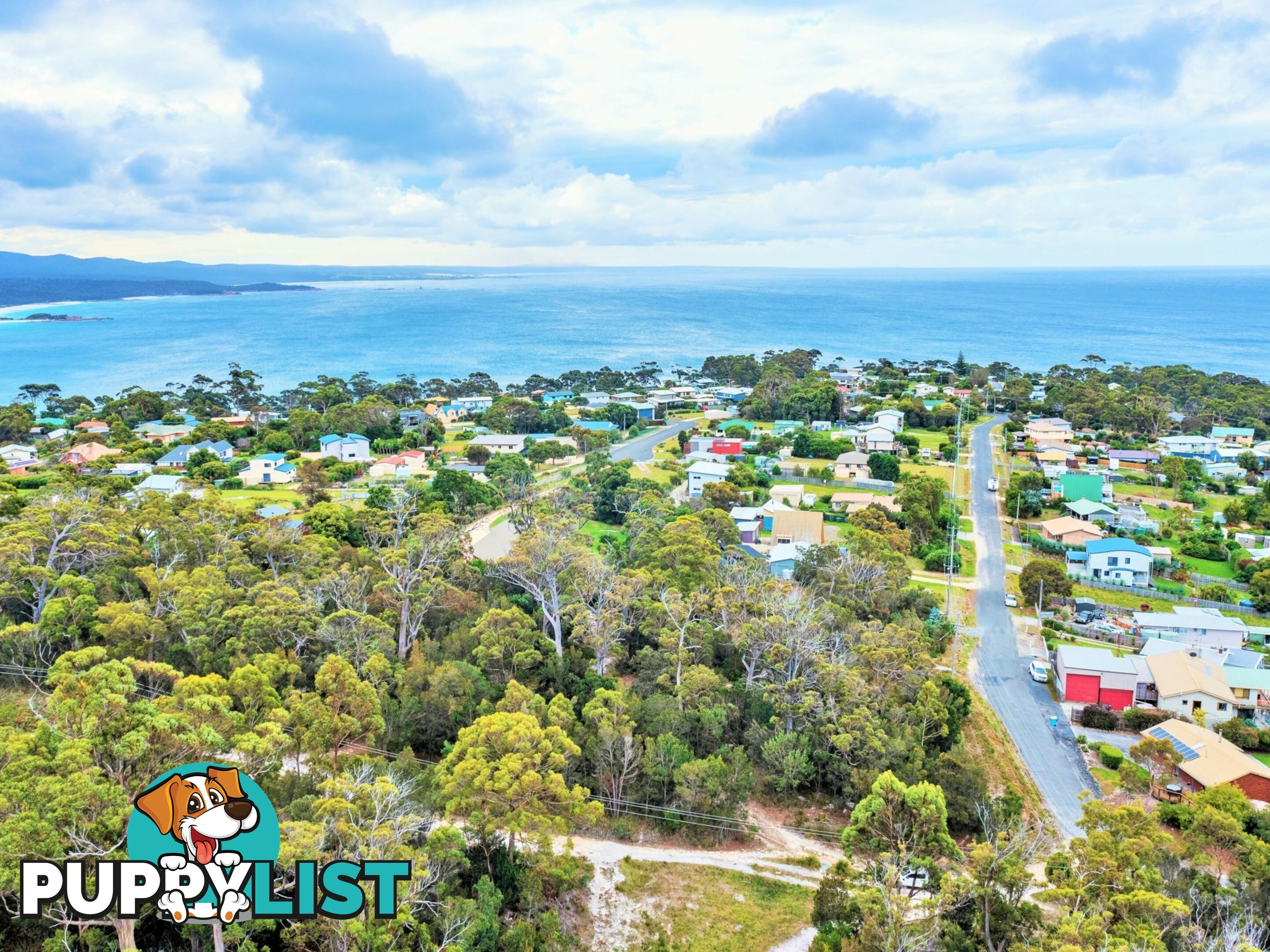 31 Felmingham Street BINALONG BAY TAS 7216