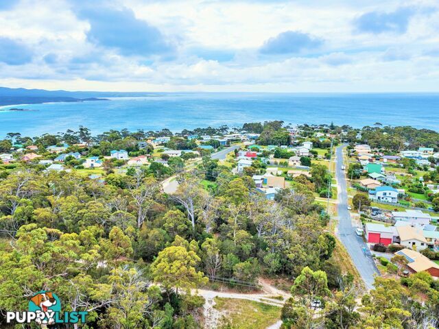 31 Felmingham Street BINALONG BAY TAS 7216