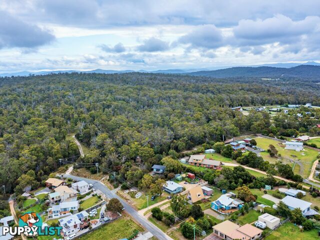 31 Felmingham Street BINALONG BAY TAS 7216