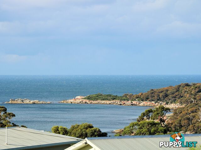 31 Felmingham Street BINALONG BAY TAS 7216