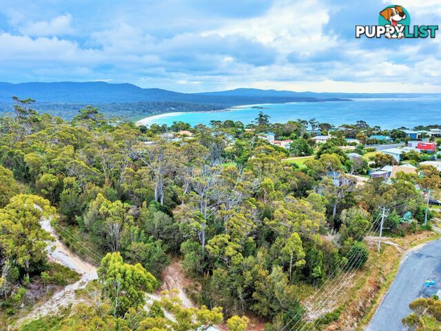 31 Felmingham Street BINALONG BAY TAS 7216